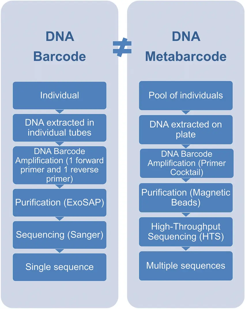 DNA Barcoding and Metabarcoding Library coverage: BOLD Systems holds 10M+ barcodes (COI animals, ITS fungi, matK/rbcL plants); resolves 41% cryptic species Metabarcoding pipelines: eDNA from soil/water → Illumina MiSeq → QIIME2 → OTU clustering → SILVA/GREENGENES reference Success rate: 95% genus-level ID for arthropods; 85% species-level vertebrates