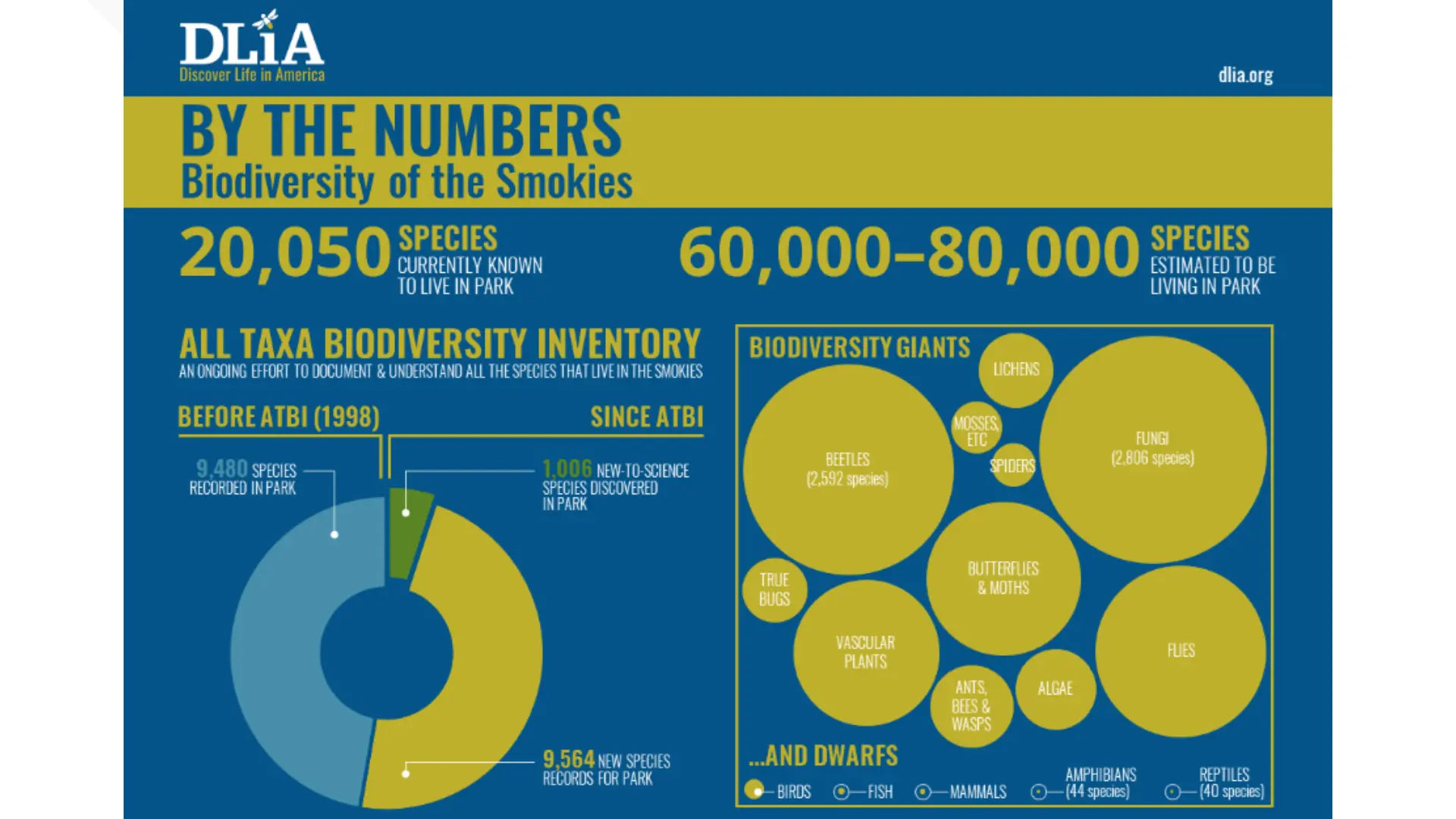Great Smoky Mountains ATBI one of the most comprehensive biodiversity documentation projects ever undertaken. Its objective is to identify and record every species of living organism within Great Smoky Mountains National Park, spanning microorganisms, plants, fungi, invertebrates, and vertebrates.