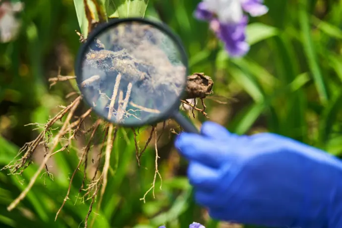 Accurate identification of organisms is fundamental to biological research, biodiversity assessment, ecology, conservation, and bioinformatics.