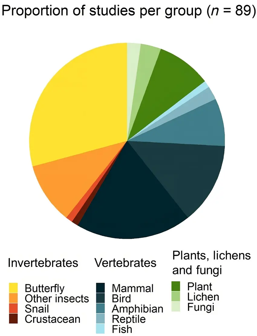 Identification Tools and Approaches IdentifyLife brings together multiple complementary approaches to organism identification: Morphological identification keys based on diagnostic characters Taxonomic descriptions and nomenclature Molecular methods, including DNA barcoding and reference databases Phylogenetic context, linking organisms within the Tree of Life By integrating classical taxonomy with modern biological data, IdentifyLife supports robust and scientifically grounded identification.