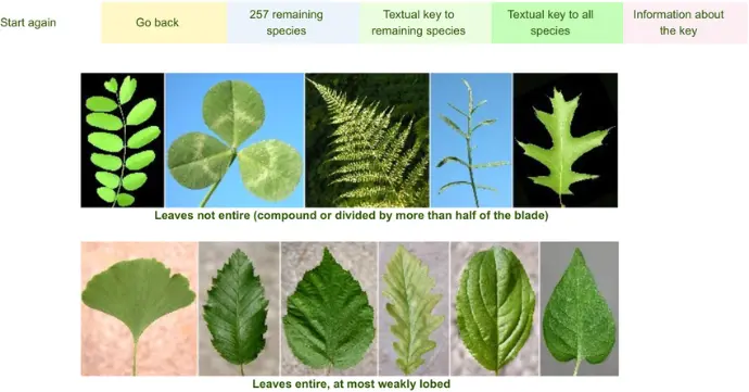 Identification Keys and Taxonomic Resource Indexing IdentifyLife provides structured access to biological identification keys and taxonomic resources published across the web and scientific literature.  This includes dichotomous and multi-access keys based on morphological, anatomical, and descriptive characters for organisms across all domains of life.  By indexing these resources and aligning them with standardized taxonomic frameworks, IdentifyLife supports reproducible and transparent organism identification, from field observations to research-grade classification.