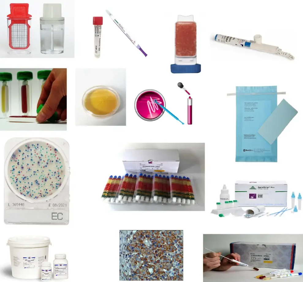 QIAAMP DNA MINI KIT QIAGEN 51306