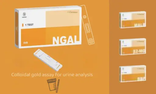 [WS] Urinalysis Test Kits for Renal Disease