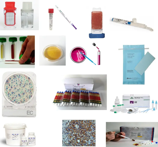 [245782] POSACONAZOLE POS 5 LF9167