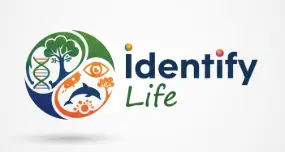 Identify life